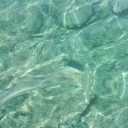 Casa Vacanza Il Delfino * טורה גרנדה