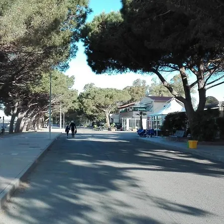 Casa Vacanza Il Delfino Tatil Evi